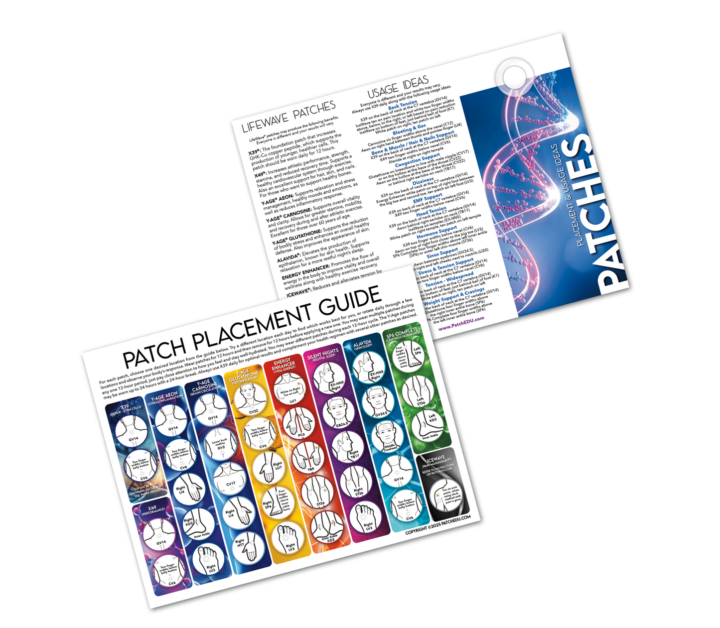 Brochure Patch Placement & Protocol Trifold Brochures (20 Pack)