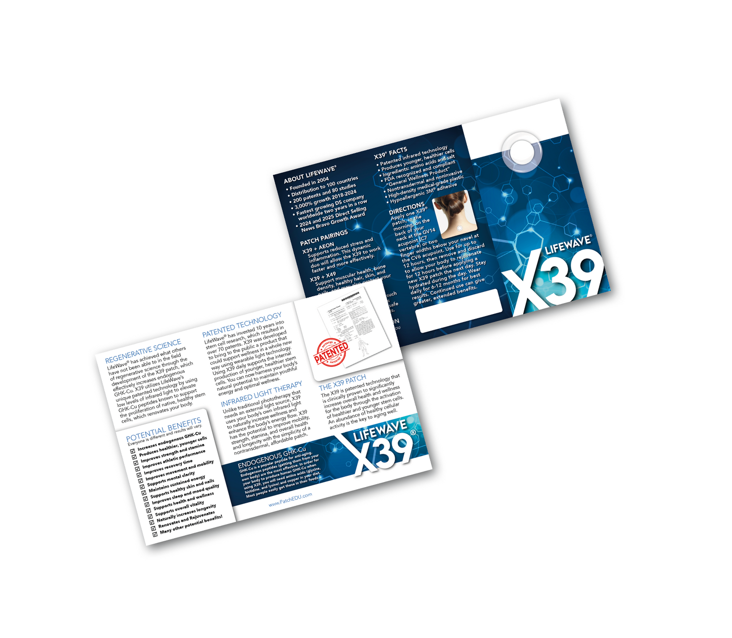 Brochure BUNDLE PACK! All Three Flyers (60 total flyers) Plus extras!