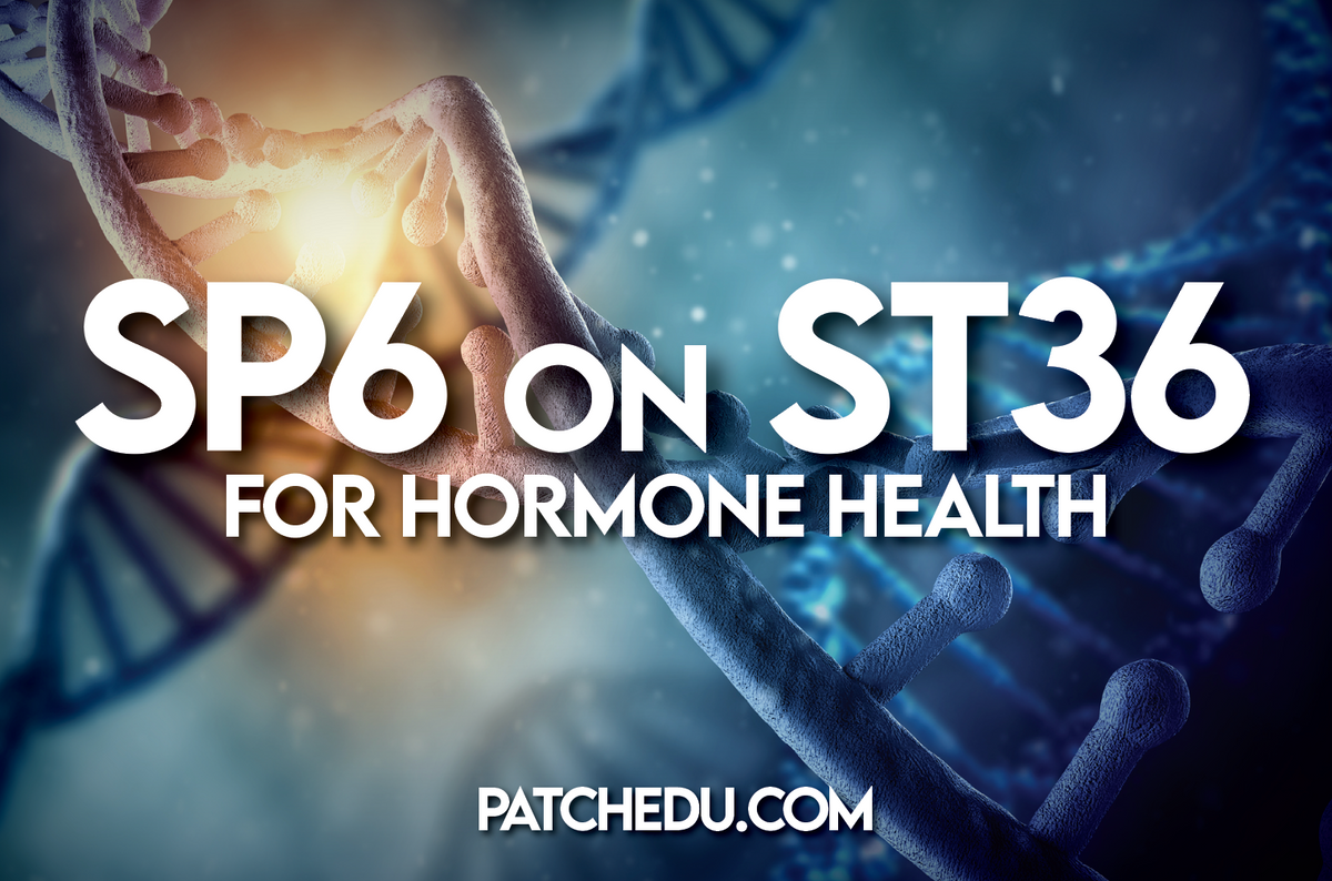 Support Hormone Organs with SP6 – PatchEDU (LifeWave Education)