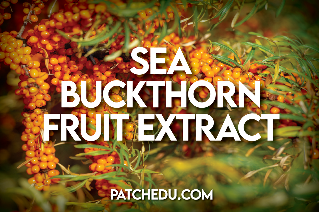 SPOTLIGHT ON SEA BUCKTHORN FRUIT EXTRACT