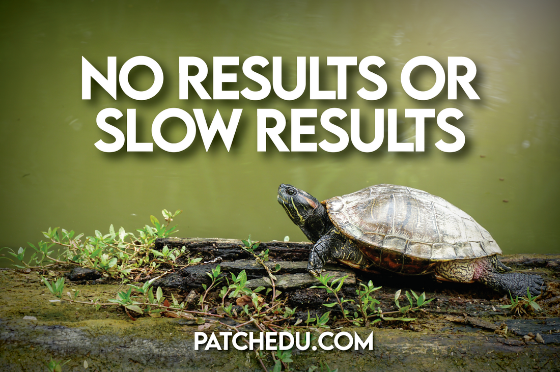 Are you seeing slow or no results?