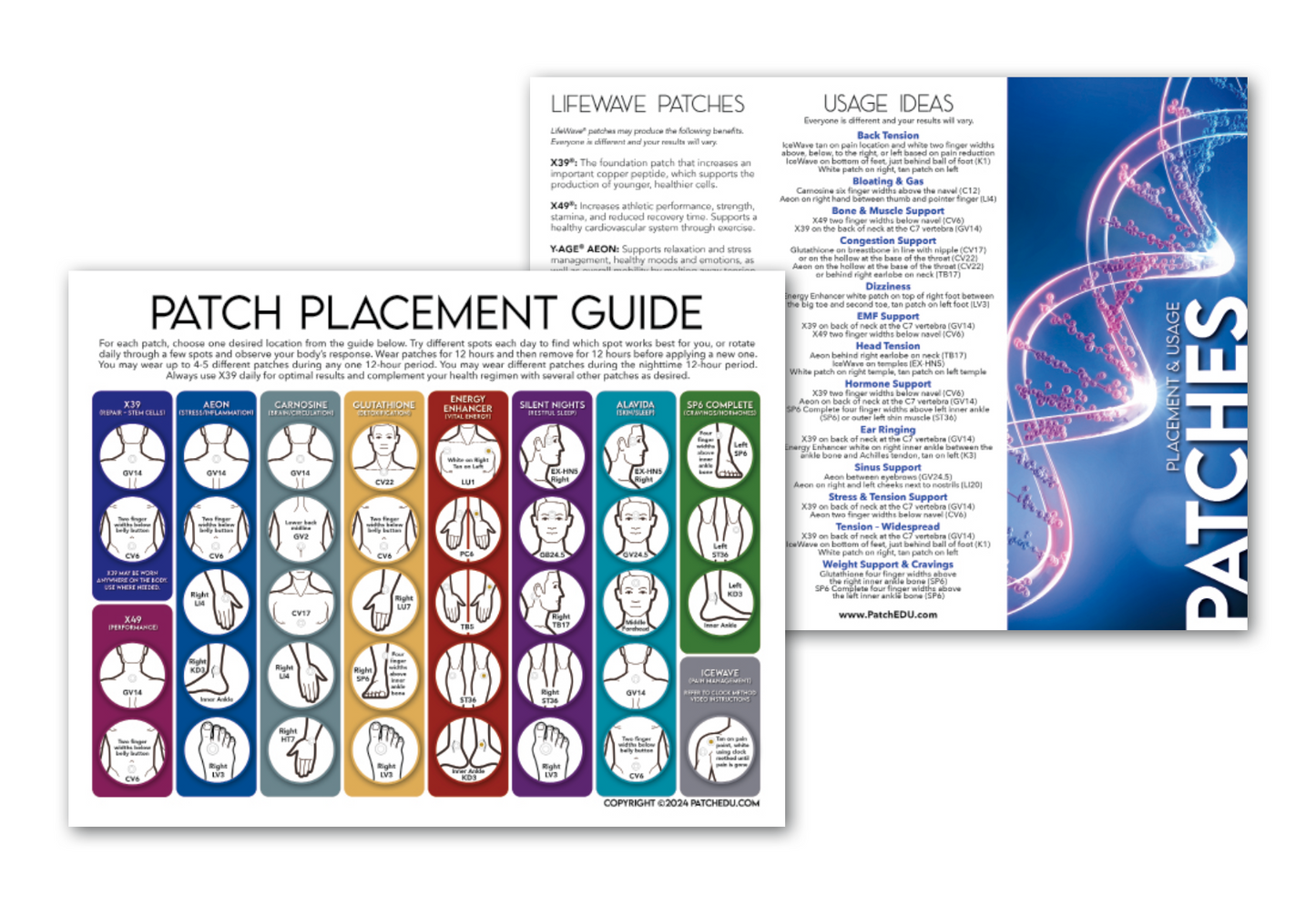 BRAND NEW! Patch Placement & Protocol Trifold Brochures (20 Pack)