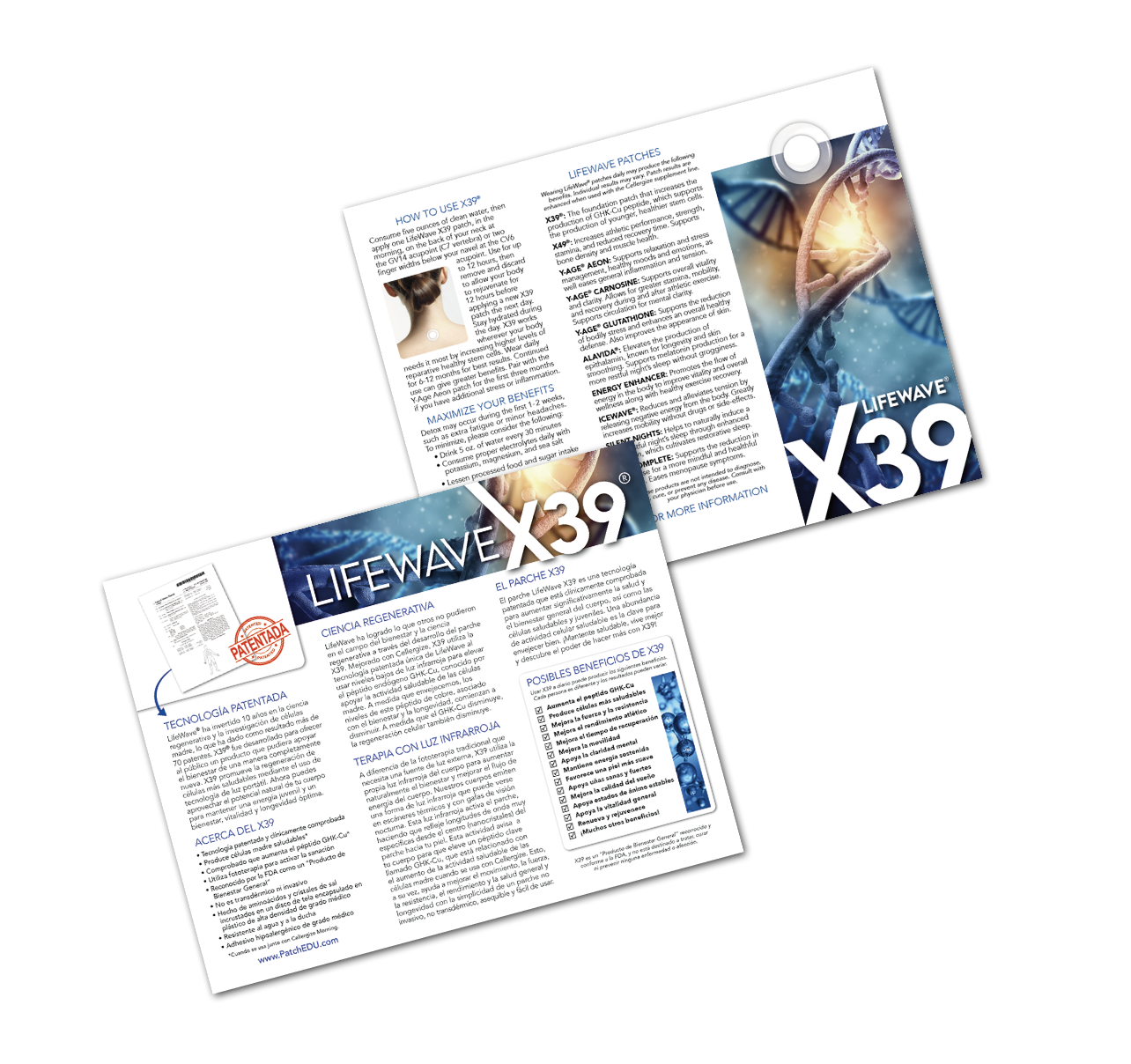 Brochure BUNDLE PACK! All Three Flyers (60 total flyers) Plus extras!