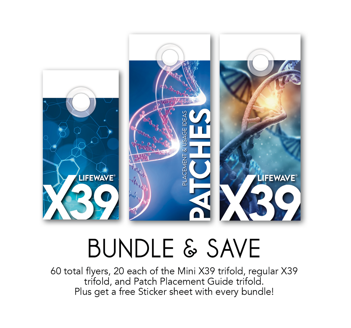 Brochure BUNDLE PACK! All Three Flyers (60 total flyers) Plus extras!
